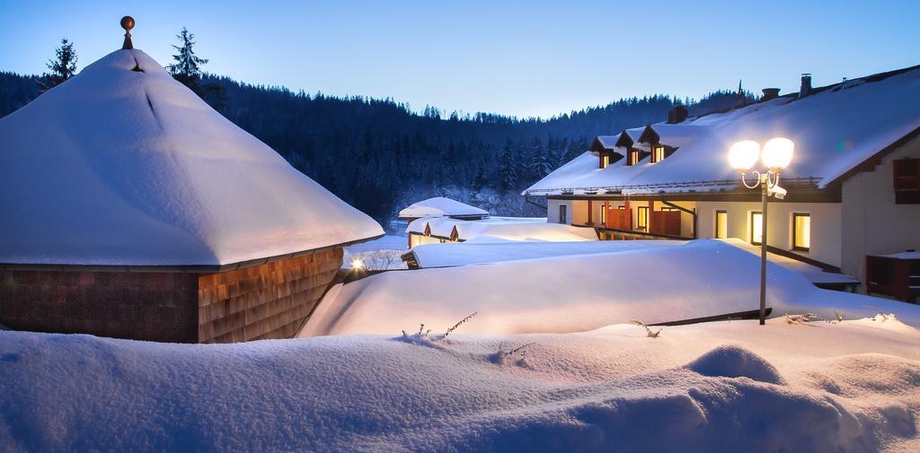 Wellness- Und Vitalhotel Boehmhof Bodenmais Exteriör bild